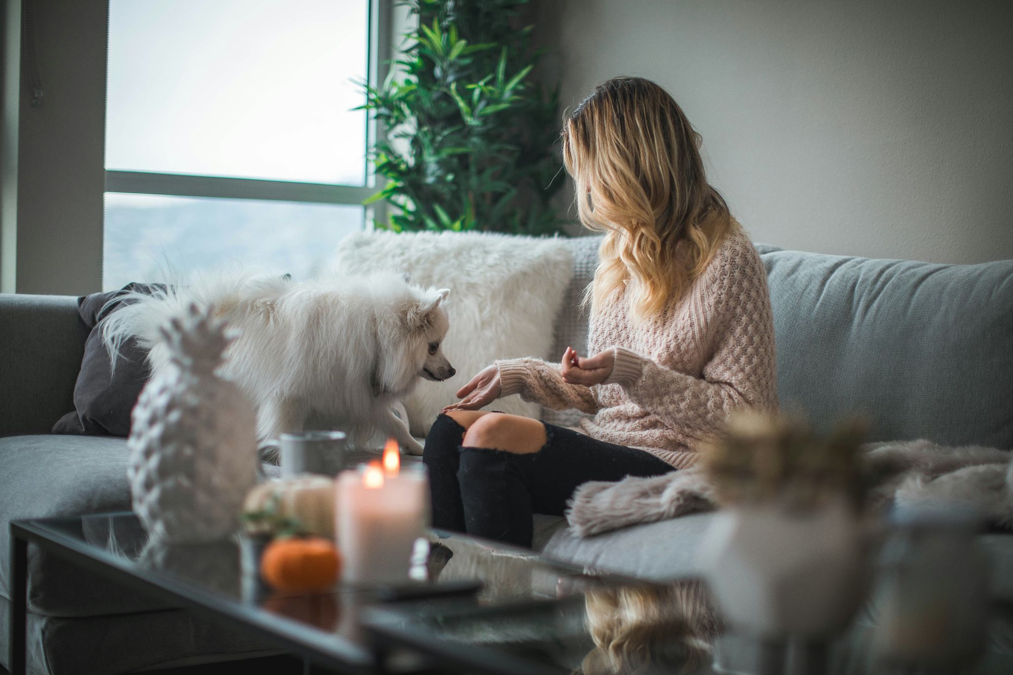 A renter relaxing at home with her dog